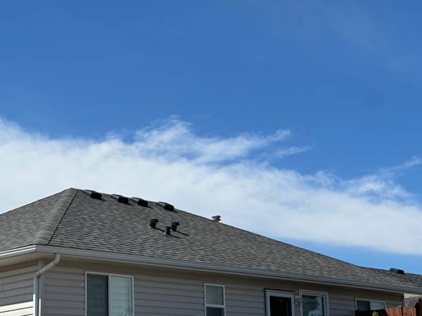 Best Sheet Metal Roofing  in Pennville, PA